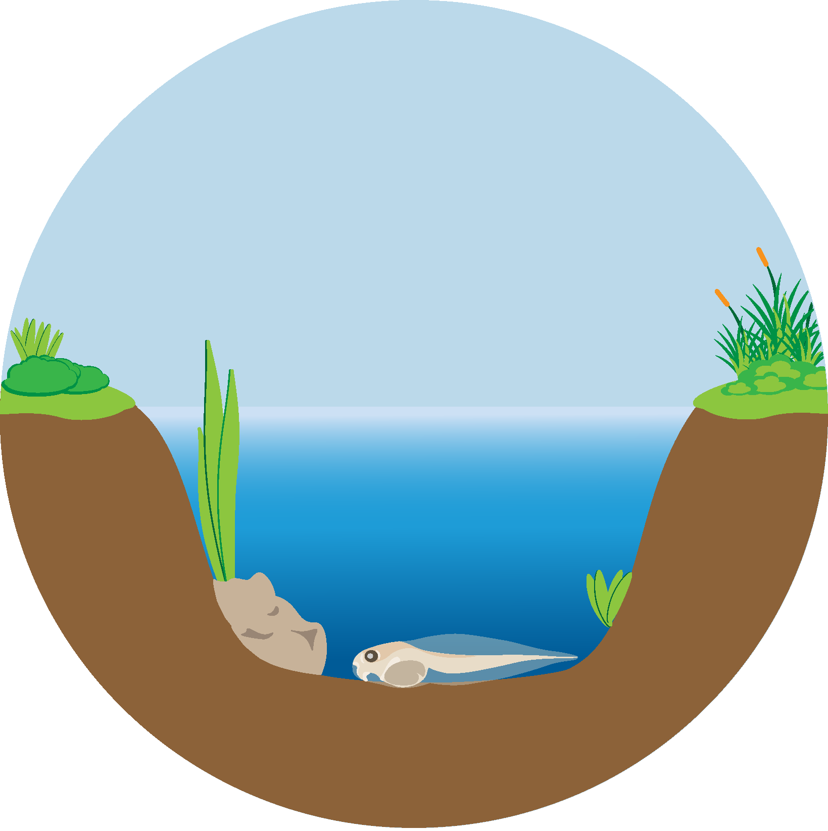 Bentonico